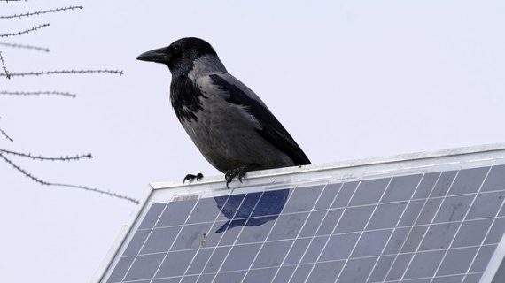 מערכת סולארית לבית – לניצול חכם של אנרגיית השמש‏