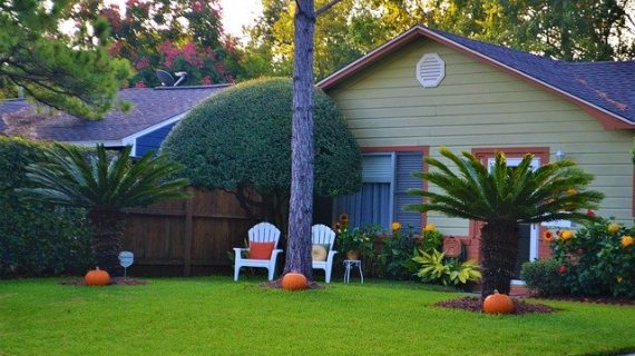 עוברים לדירת גן: זה הציוד שאתם חייבים לרכוש